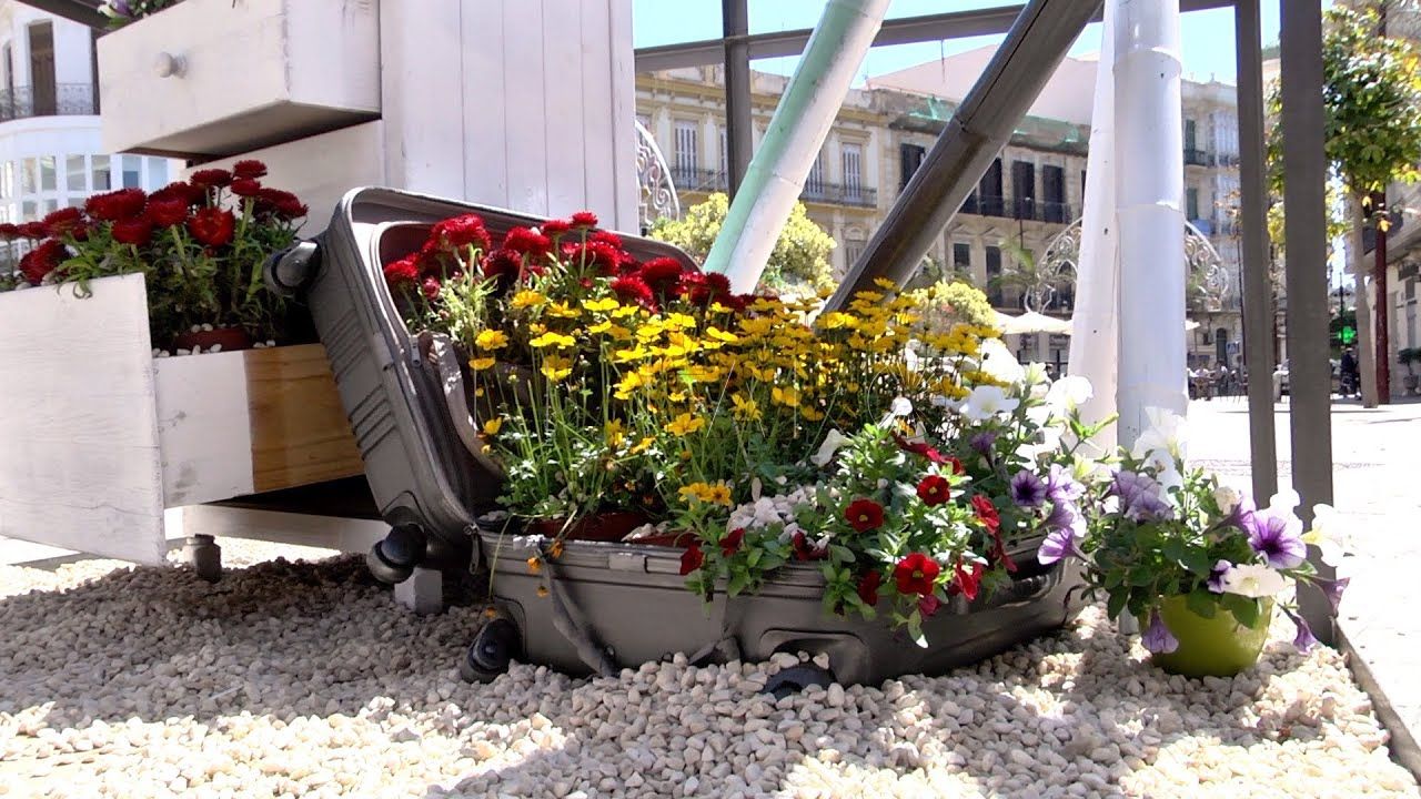 melilla en flor una exposicion que invita a pasear y a disfrutar de la ciudad ‘Melilla en flor’, una exposición que invita a pasear y a disfrutar de la ciudad