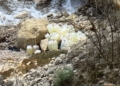 03 lugar localización garrafas Decomisan una narcolancha en Alborán y 1.525 litros de combustible