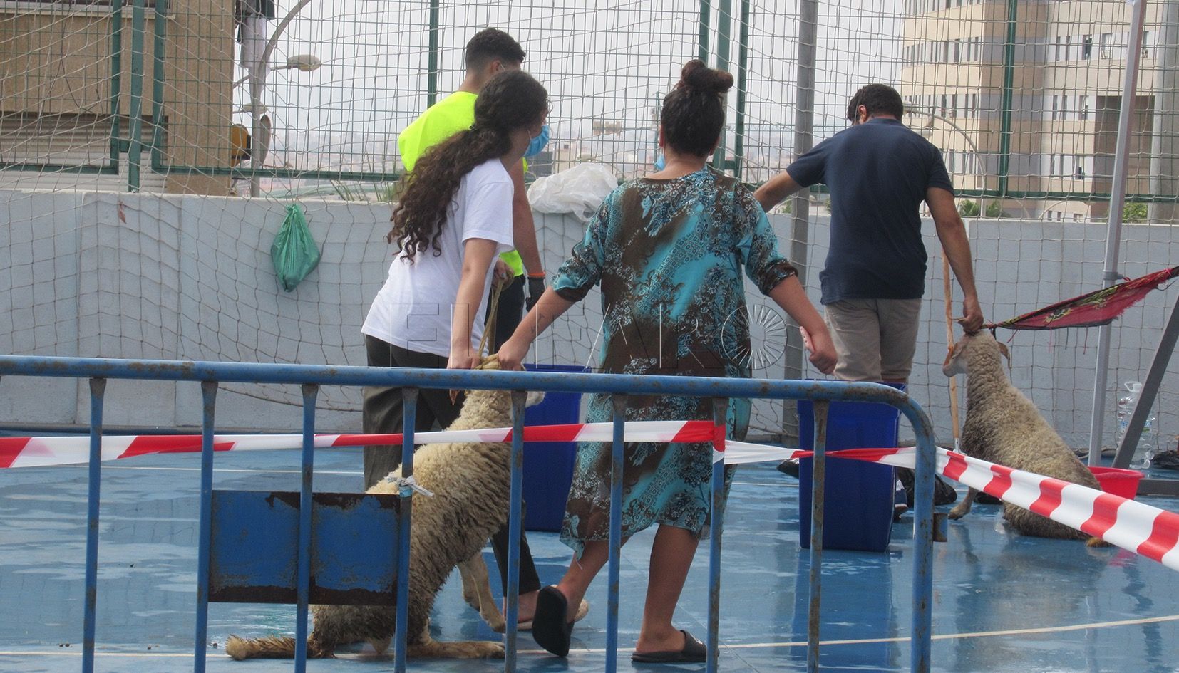 La Ciudad se prepara para el Aid El Kebir: dispondrán de 11 carpas para el sacrificio