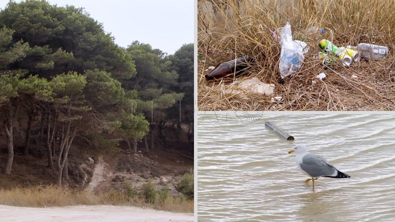 los ecologistas de melilla piden mas contundencia contra el cambio climatico Los ecologistas de Melilla piden más contundencia contra el cambio climático
