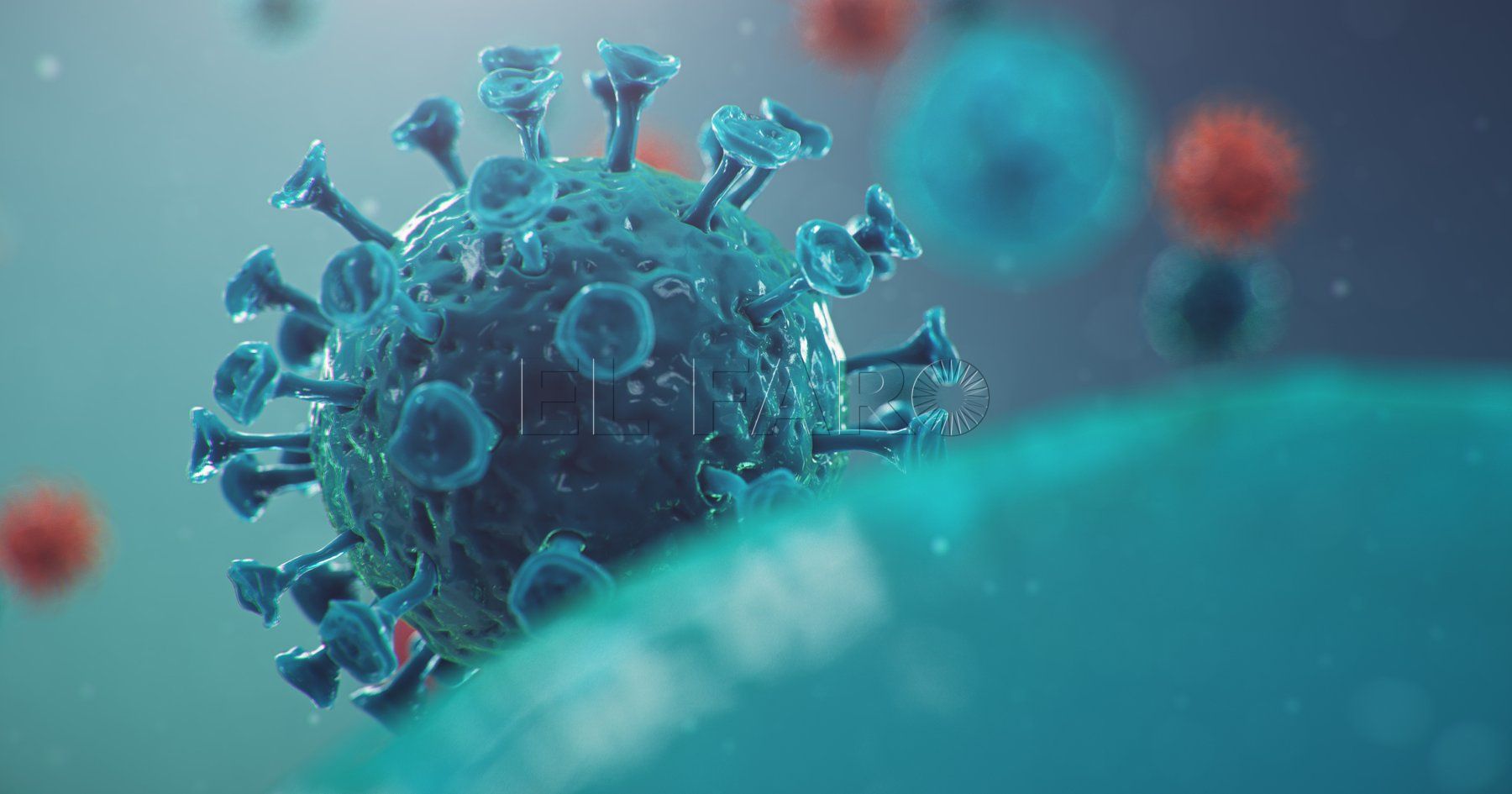 El coronavirus sigue presente