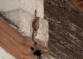 iglesia 1 Los terremotos de este verano en Melilla dañan la iglesia de la Medalla Milagrosa