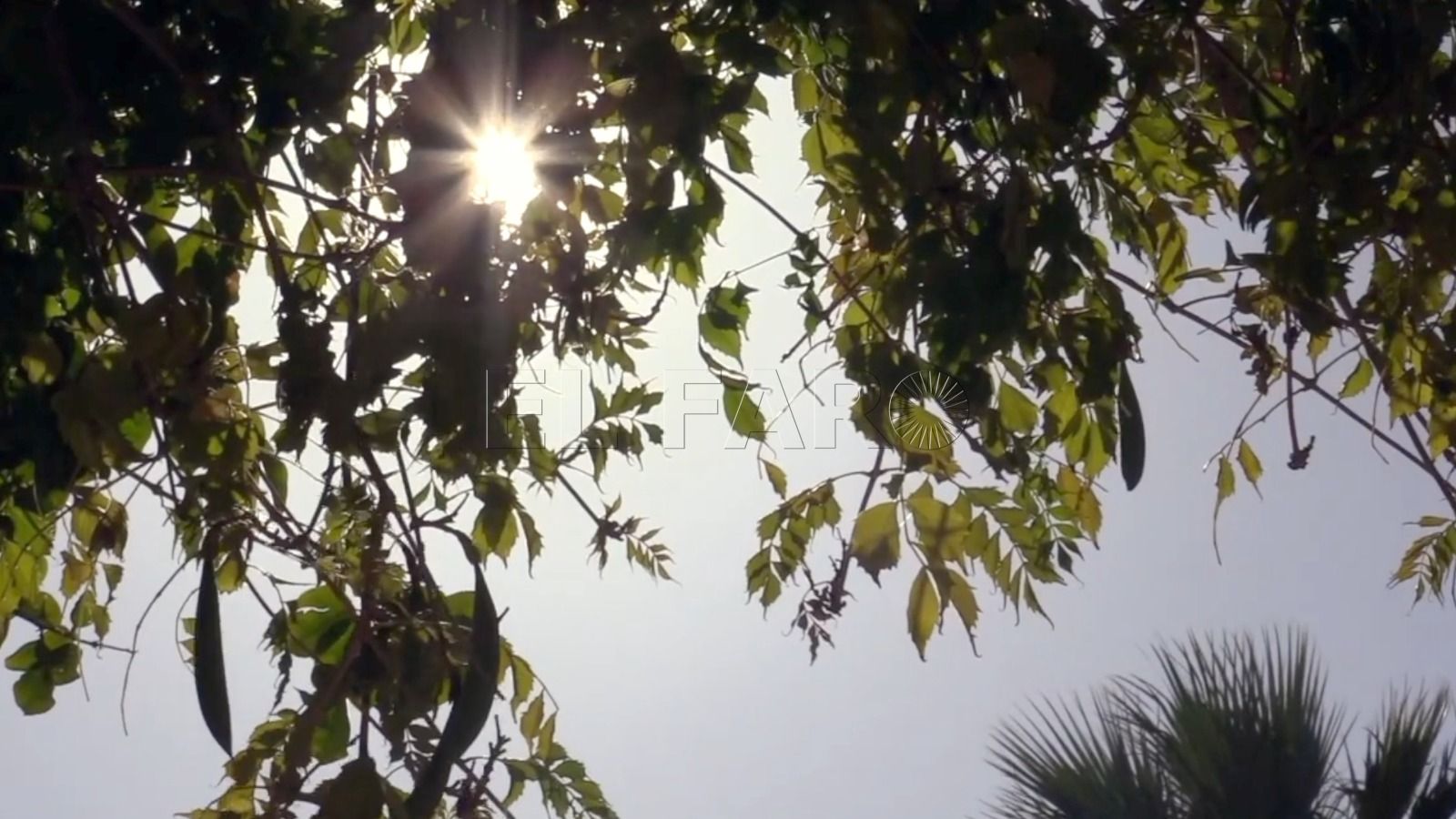 tiempo sol Cielos despejados en Melilla este domingo