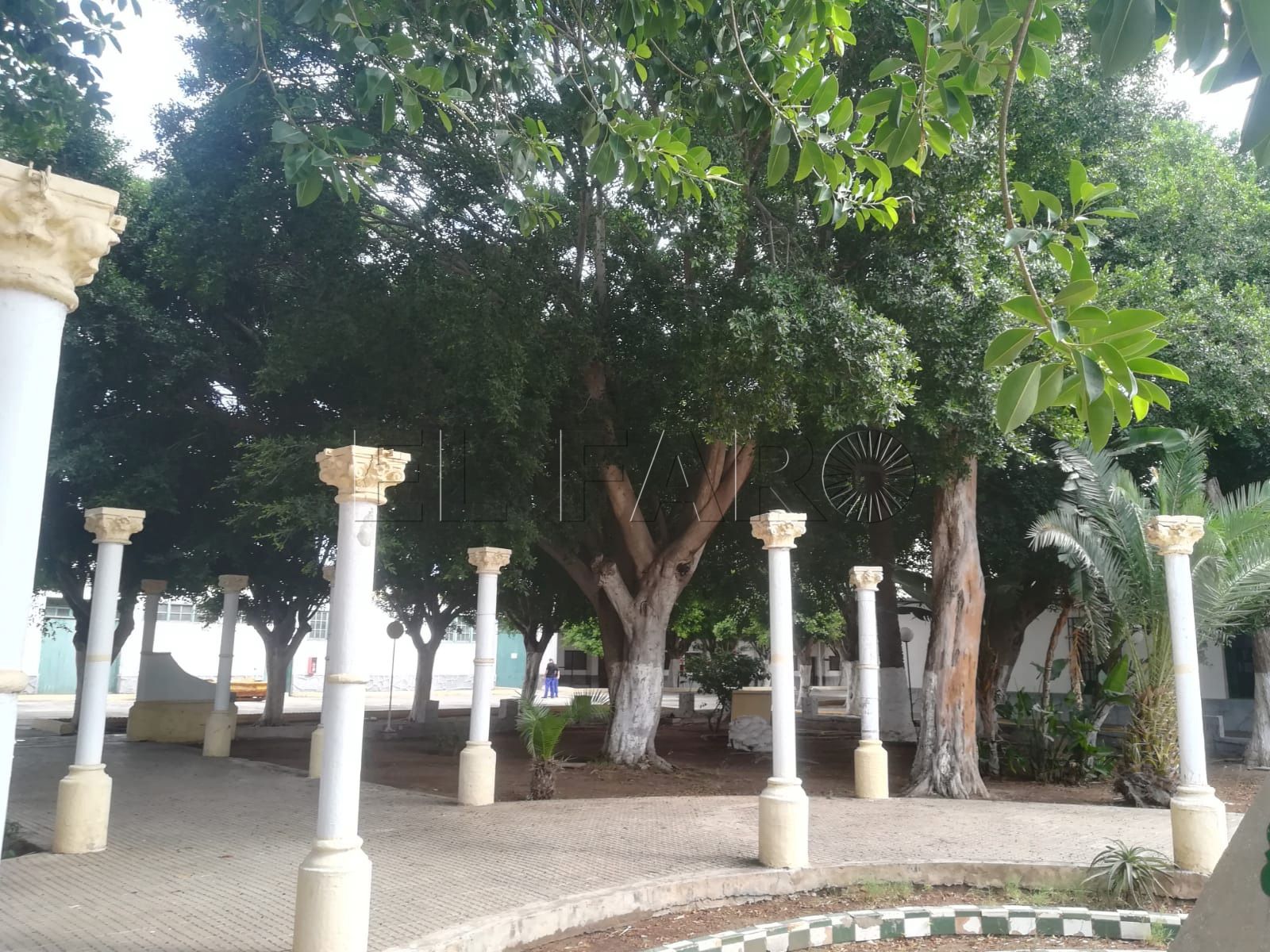 zona verde cuartel Héroes de Alcántara 1 Plantean declarar las arboladas de los cuarteles jardines singulares de Melilla
