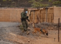 6ecce0d9 bf16 4111 b652 0eea495862bb Así se preparan militares de Melilla para su misión en Líbano