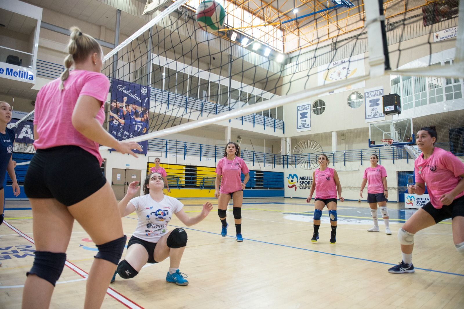 C4 Claudia Goñi, nueva colocadora del MSC Voleibol femenino
