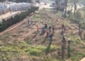 Captura de pantalla 2021 10 31 a las 11.25.48 Un árbol por cada víctima del coronavirus en Melilla