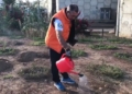 Captura de pantalla 2021 10 31 a las 11.25.59 Un árbol por cada víctima del coronavirus en Melilla