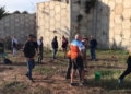 Captura de pantalla 2021 10 31 a las 11.26.31 Un árbol por cada víctima del coronavirus en Melilla