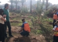 Captura de pantalla 2021 10 31 a las 11.26.39 Un árbol por cada víctima del coronavirus en Melilla