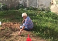 Captura de pantalla 2021 10 31 a las 11.27.18 Un árbol por cada víctima del coronavirus en Melilla