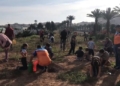 Captura de pantalla 2021 10 31 a las 11.27.26 Un árbol por cada víctima del coronavirus en Melilla