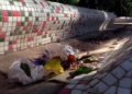 Parque 5 División en el Parque Hernández de Melilla, ¿vergel o requiere más cuidado?