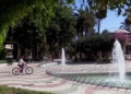 parque 4 División en el Parque Hernández de Melilla, ¿vergel o requiere más cuidado?