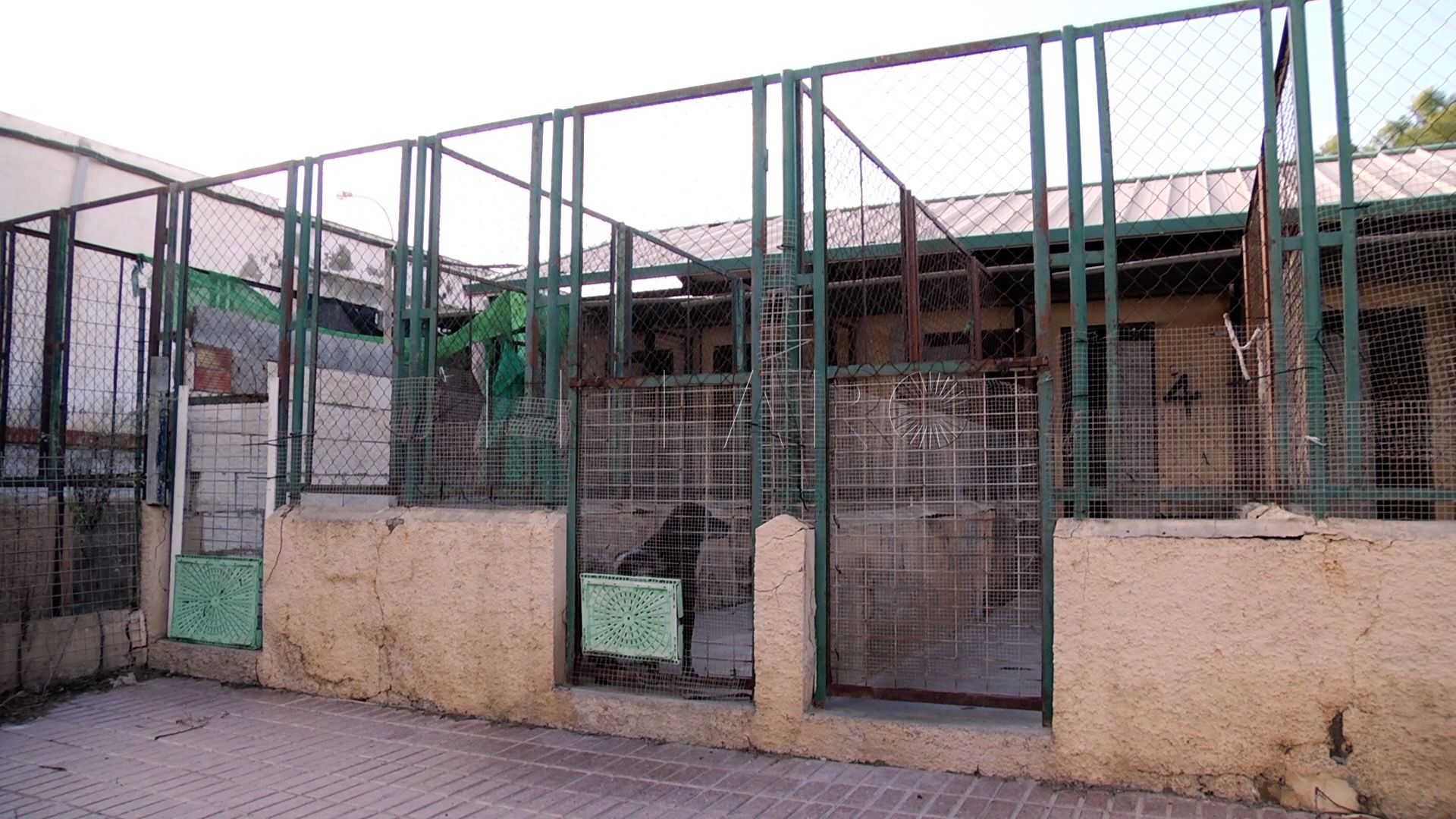 10 5 La obra de la nueva protectora, nueva polémica entre Gobierno y PP en Melilla