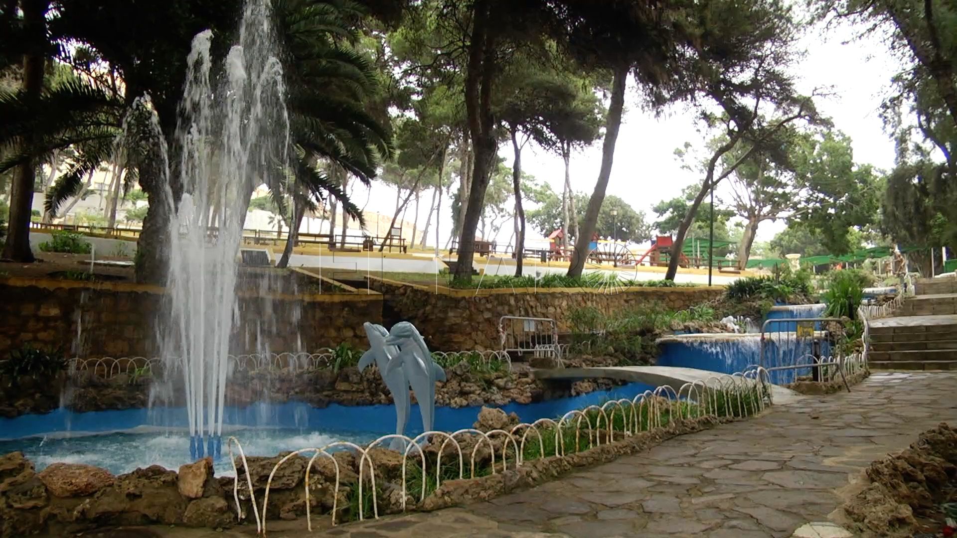 Medio Ambiente recuperará todos los árboles posibles del parque Lobera de Melilla