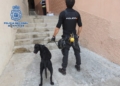 6d8b5788 4b7d 4c41 b513 ca849f5e12f8 Seis detenidos por vender cocaína en La Cañada
