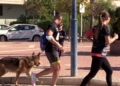 IMG 20211107 WA0042 Imad Eddine vence la I Carrera Solidaria Ruta 091 de Melilla