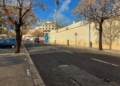 arboles podridos melilla 5 Medio Ambiente retira árboles de la avenida Donantes de Sangre por riesgo de caída