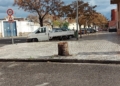 arboles podridos melilla 7 Medio Ambiente retira árboles de la avenida Donantes de Sangre por riesgo de caída