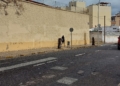 arboles podridos melilla 8 Medio Ambiente retira árboles de la avenida Donantes de Sangre por riesgo de caída
