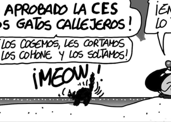 ml201121 Sábado 20 de noviembre de 2021
