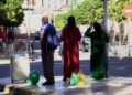 paradas coa melilla1 Los melillenses critican el deterioro de las paradas de la COA y la falta de paneles informativos