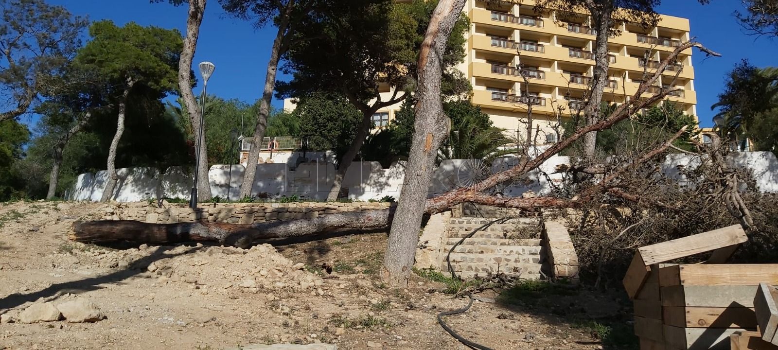 parque Lobera El Sindicato Independiente de Melilla denuncia la caída de un árbol en el parque Lobera