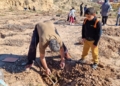 guelaya plantacion nano 3 Dos centenares de árboles y arbustos en la Cantera del río Nano de Melilla