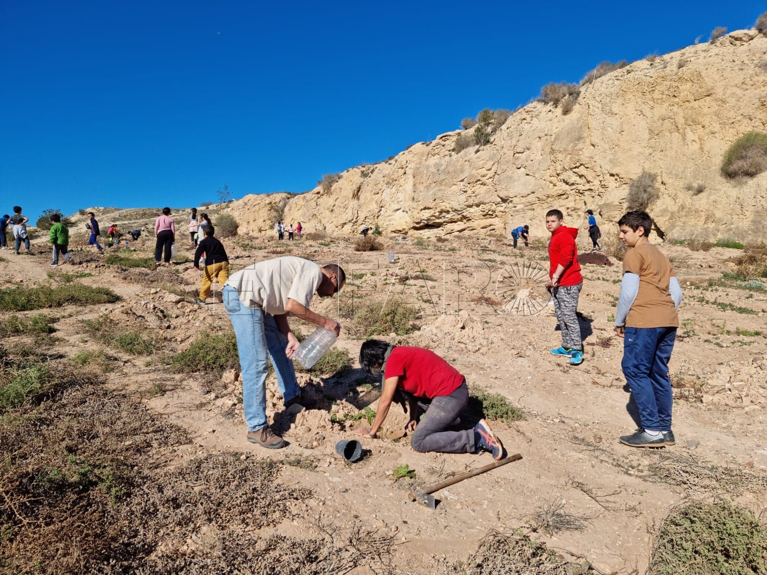 Dos centenares de árboles y arbustos en la Cantera del río Nano de Melilla