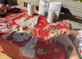 tripleta artesanias navidad Artesanías de macramé para adornar la Navidad en Melilla