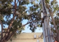 viviendas circunvalacion6 Vecinos de la Circunvalación dicen que llevan años viviendo en esa zona de Melilla