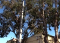 viviendas circunvalacion9 Vecinos de la Circunvalación dicen que llevan años viviendo en esa zona de Melilla