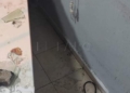 6 Varios vigilantes heridos en La Purísima tras una agresión realizada por unos 30 menores: hubo lluvia de piedras