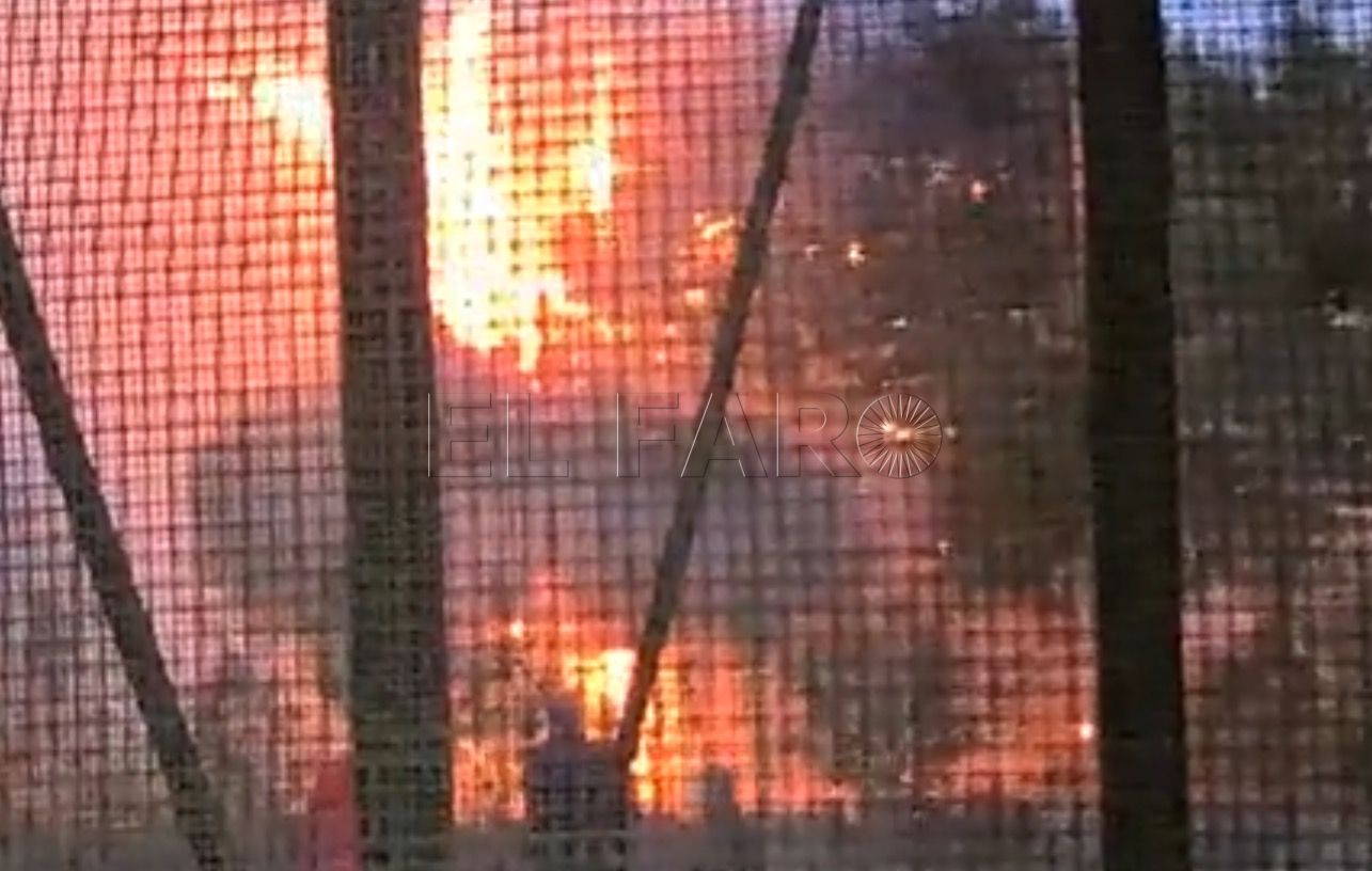 Captura de pantalla 2022 01 22 a las 22.13.02 Bomberos de Melilla sofocan un incendio entre la carretera Hidum y la Pista de Carros