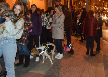 Mascota La iglesia del Sagrado Corazón bendecirá a las mascotas por San Antón