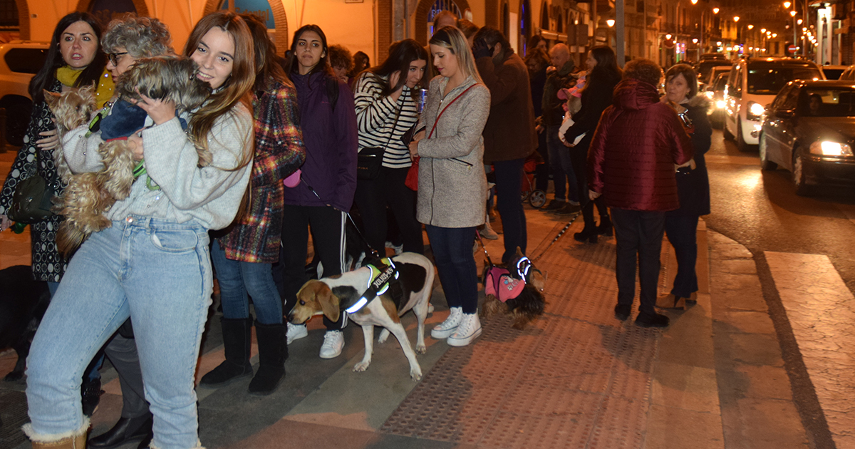La iglesia del Sagrado Corazón bendecirá a las mascotas por San Antón