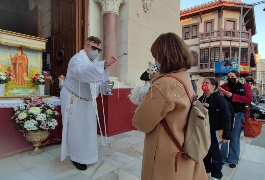 San Antón Las mascotas de Melilla reciben su bendición por San Antón sin la afluencia de otros años