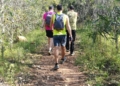 photo5996790552114345827 Rutas y caminos senderistas en Melilla: urbana y de monte