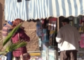 reportaje calle legión real melilla 12 La calle de La Legión resiste a la crisis aunque "con menos gente"