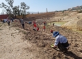 07c3a685 e56f 43ad 90f0 d91e299030e6 Guelaya celebra una reforestación multitudinaria en la laguna de los Pájaros del río de Oro