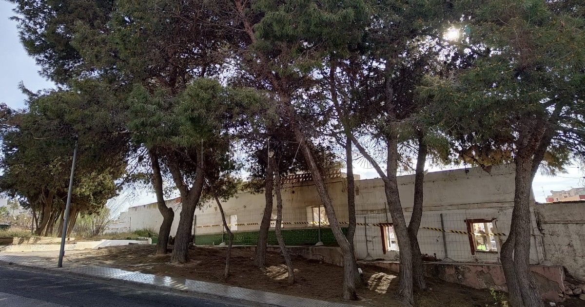 Arbolado Ecologistas, en defensa de 21 árboles de la calle de Pizarro