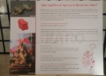 China 18 La Biblioteca Pública de Melilla inaugura exposición por el Año Nuevo Chino