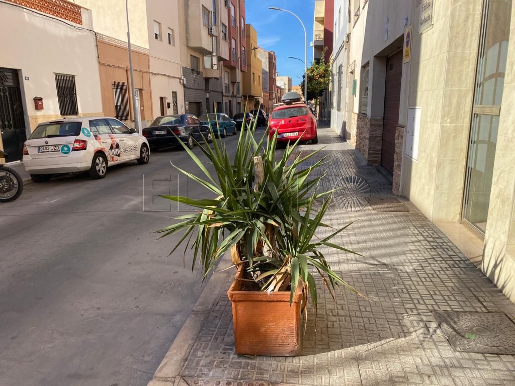WhatsApp Image 2022 02 15 at 13.29.25 Calvo Sotelo, el barrio con grandes maceteros en las aceras para impedir que los coches aparquen