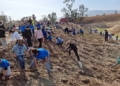 c590dd4f c61c 49ed 93e5 ab680a3628f9 Guelaya celebra una reforestación multitudinaria en la laguna de los Pájaros del río de Oro