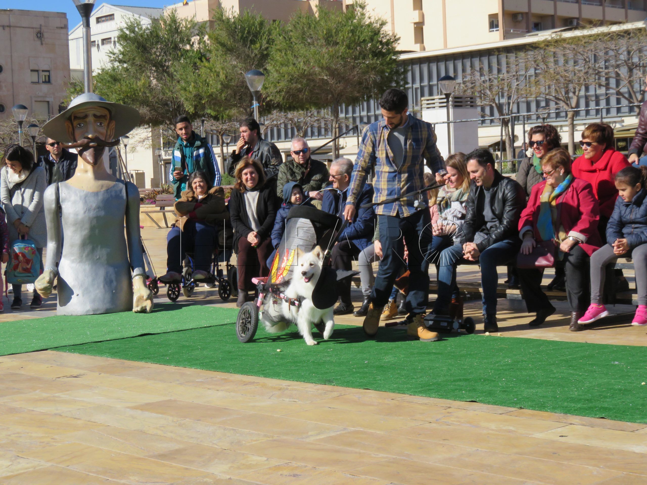 concurso disfraces mascotas melilla 2018 scaled Melilla cancela el concurso de Disfraces de Carnaval para Mascotas por la alerta de rabia