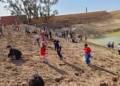 eb23f70a 76b0 435f bc3f dfd6833c79db Guelaya celebra una reforestación multitudinaria en la laguna de los Pájaros del río de Oro