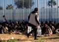 16 Delegación del Gobierno eleva a 2.500 el número de inmigrantes que intentan saltar la valla de Melilla