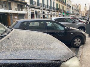 POLVO 1 Melilla, una ciudad naranja