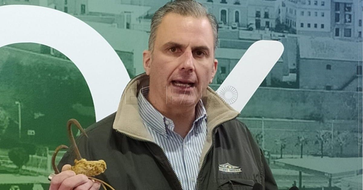 ortega Ortega Smith denuncia la colaboración de Marruecos en los saltos a la valla en Melilla